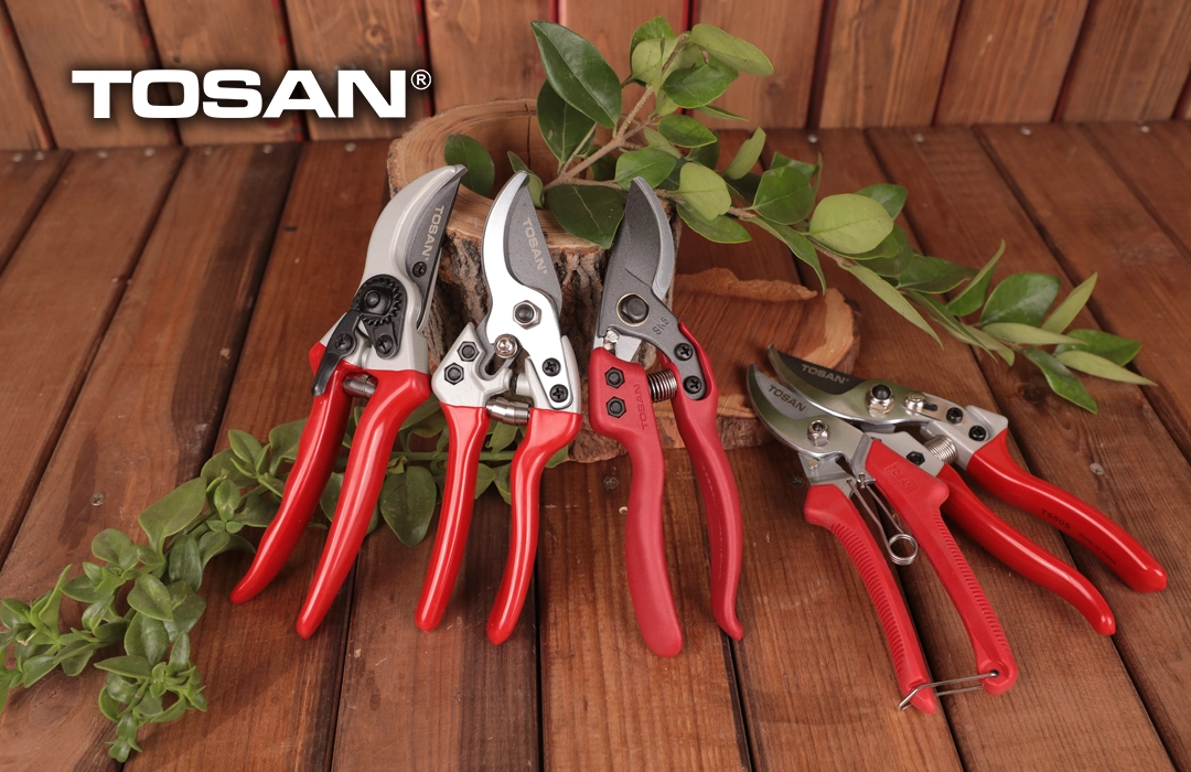 ویژگی‌های قیچی باغبانی دستی توسن چیست؟ کدام قیچی بهتر است؟